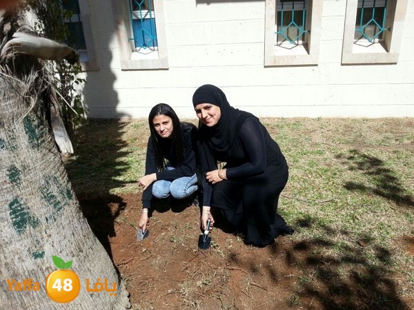 shamela khair (8).JPG